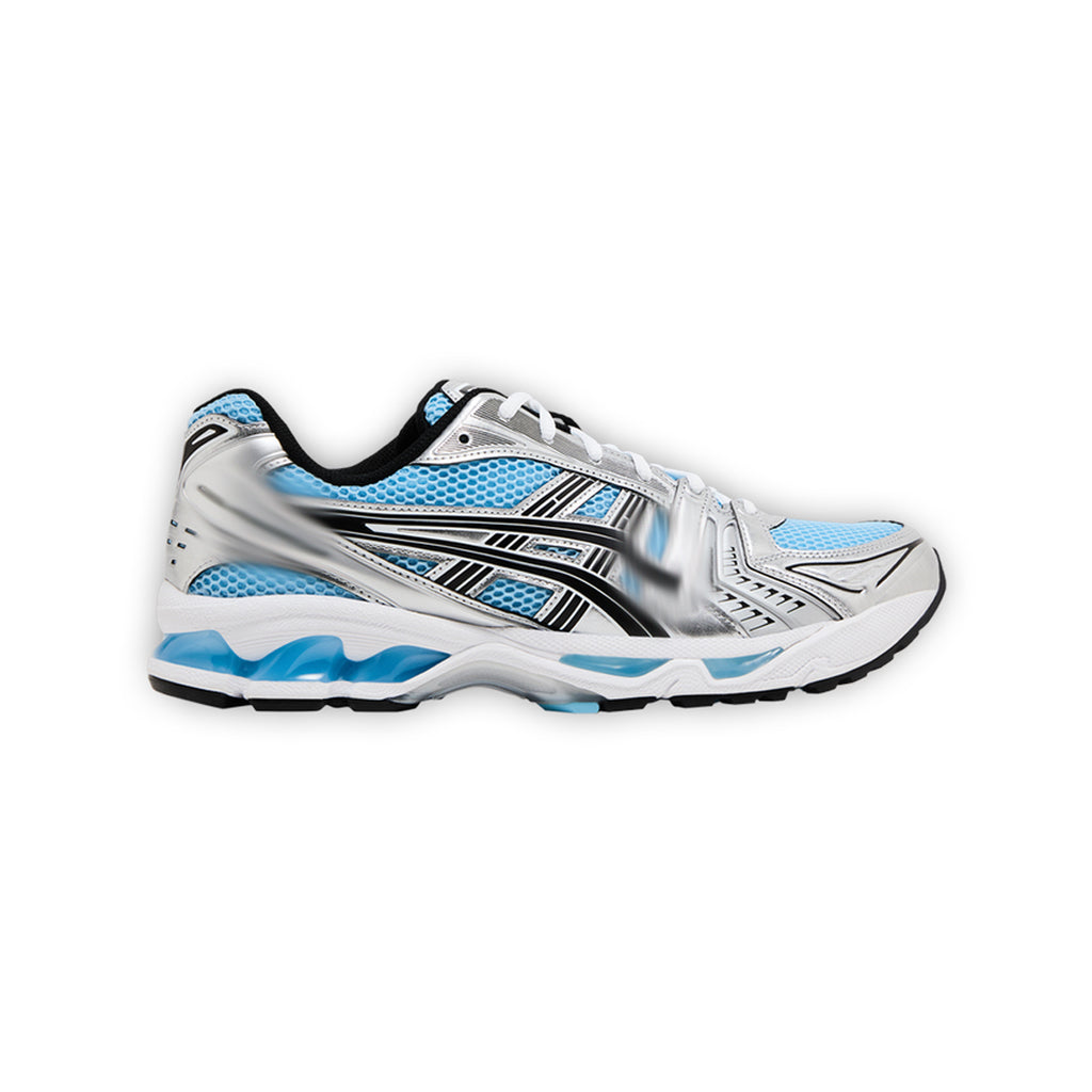 Silver/Blue Shoes “ASCS 14"
